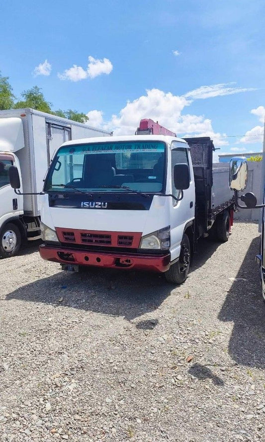 Isuzu Elf 14ft. Cargo Crane ST0423-0020-9