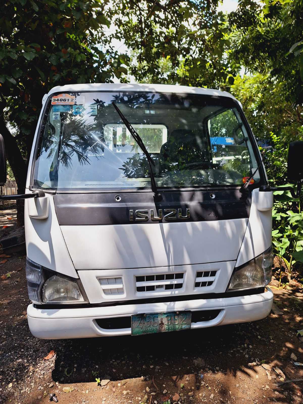 Isuzu Elf 4W Drop Side 10 ft CRT0823-0021-13