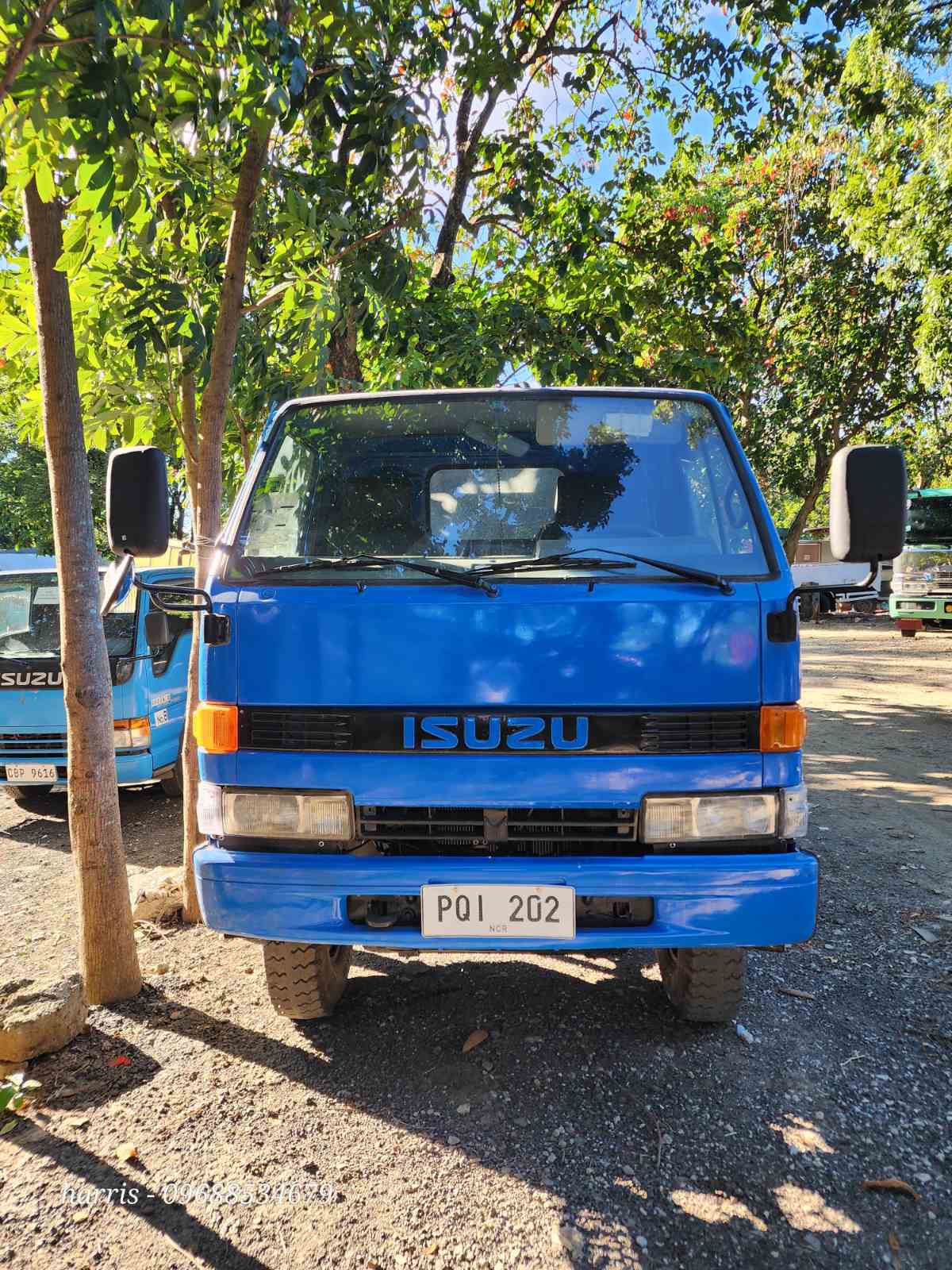 Isuzu Elf 10 ft. Cargo Truck 4x4 CRT0823-0022-13