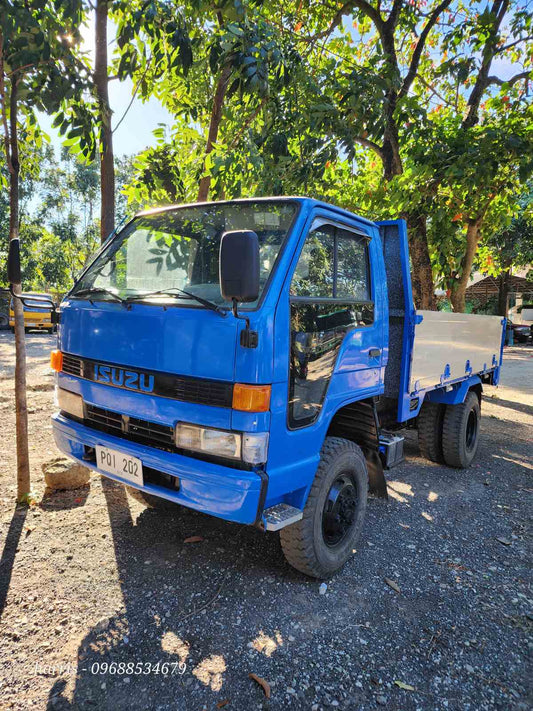 Isuzu Elf 10 ft. Cargo Truck 4x4 CRT0823-0022-13