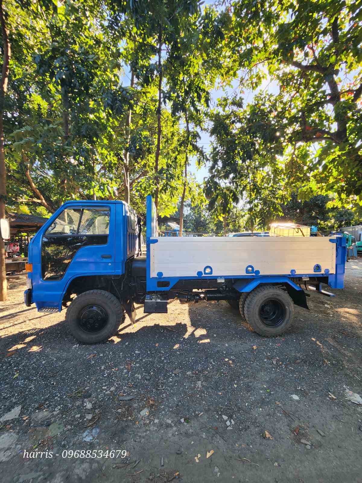 Isuzu Elf 10 ft. Cargo Truck 4x4 CRT0823-0022-13