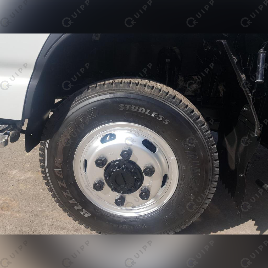 Isuzu Cargo Truck