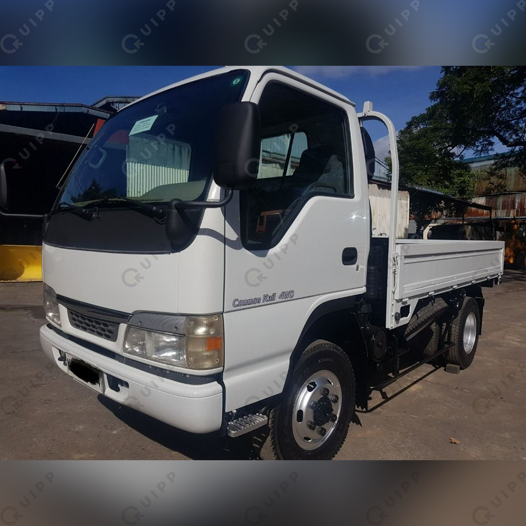 Isuzu Cargo Truck